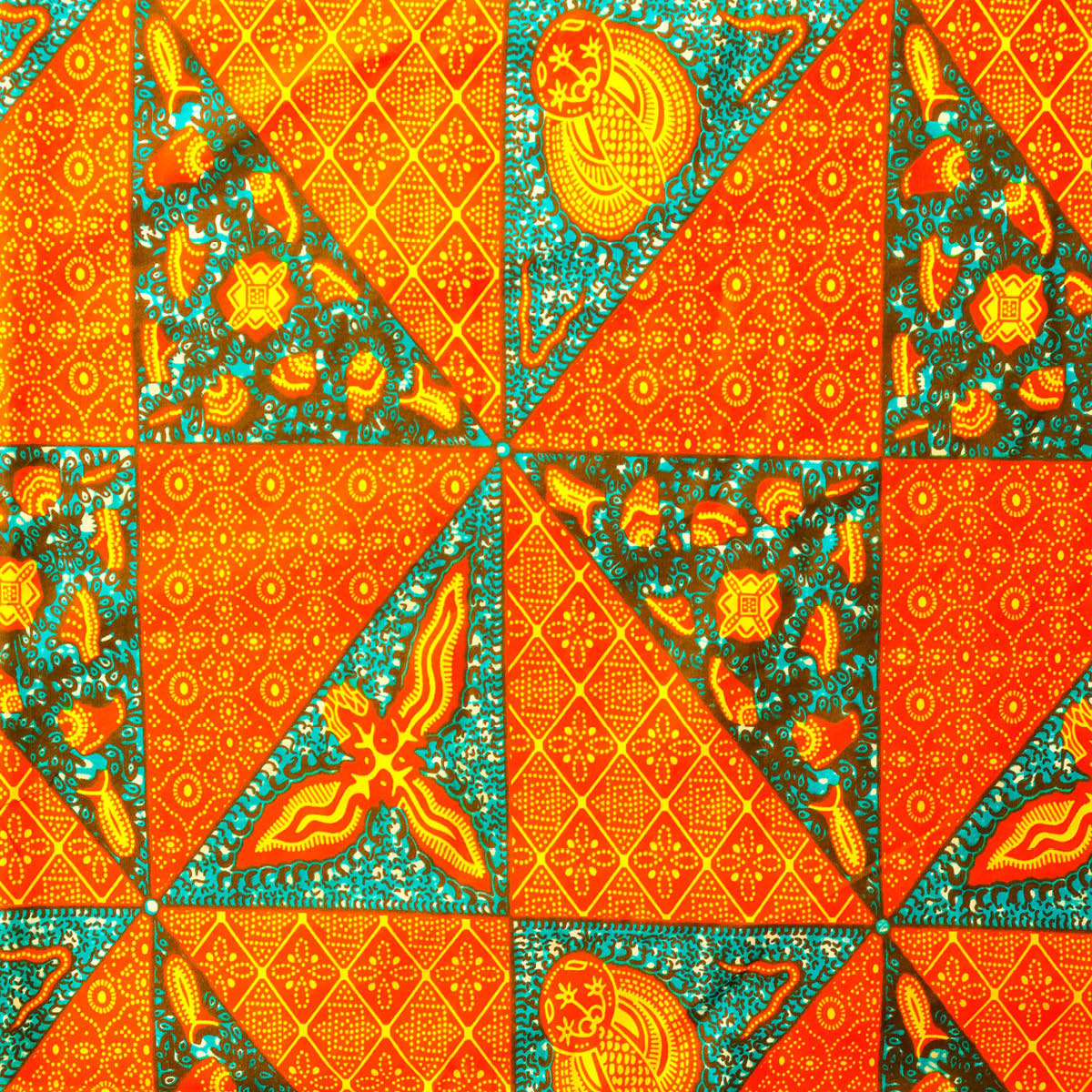 GONNA AMELIA - immagine 5